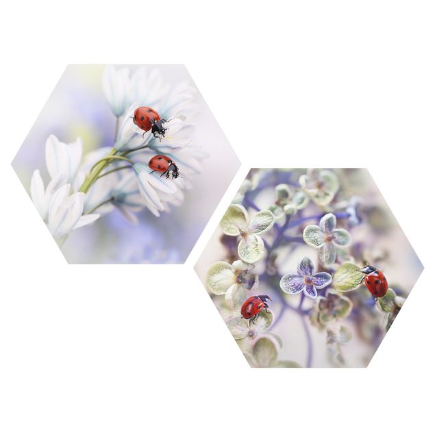 Cuadros modernos Ladybug On Flowers