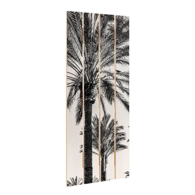 Cuadros modernos Palm Trees At Sunset Black And White