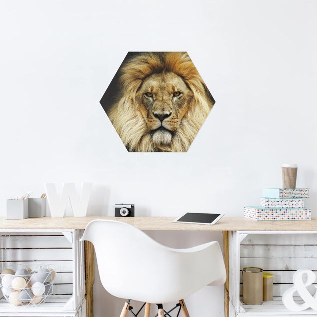 Cuadros decorativos modernos Wisdom Of Lion