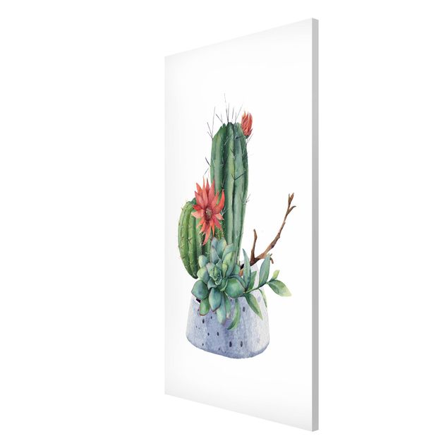 Cuadros plantas Watercolour Cacti Illustration