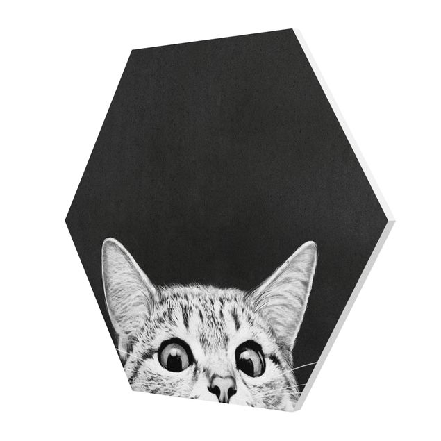 Cuadros animales Illustration Cat Black And White Drawing