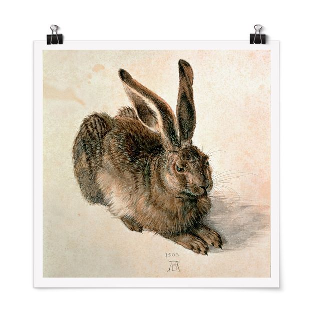 Estilos artísticos Albrecht Dürer - Young Hare