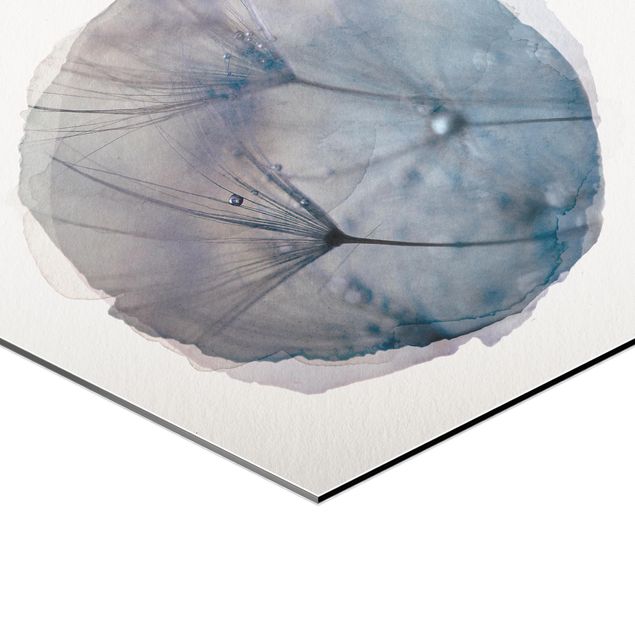 Cuadros hexagonales Water Colours - Blue Feathers In The Rain