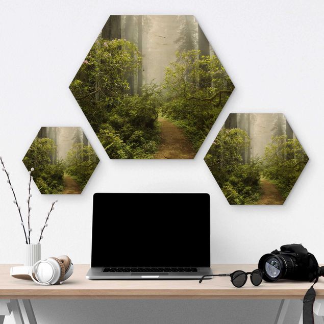 Hexagon Bild Holz - Nebliger Waldpfad