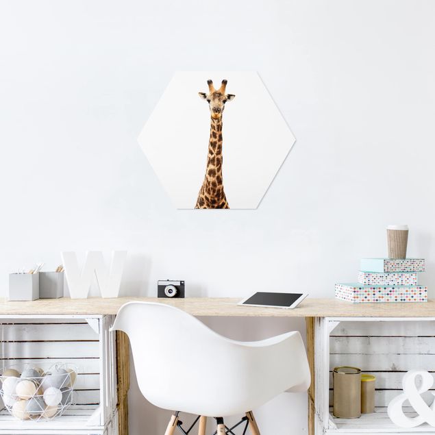 Cuadros modernos y elegantes Giraffe head