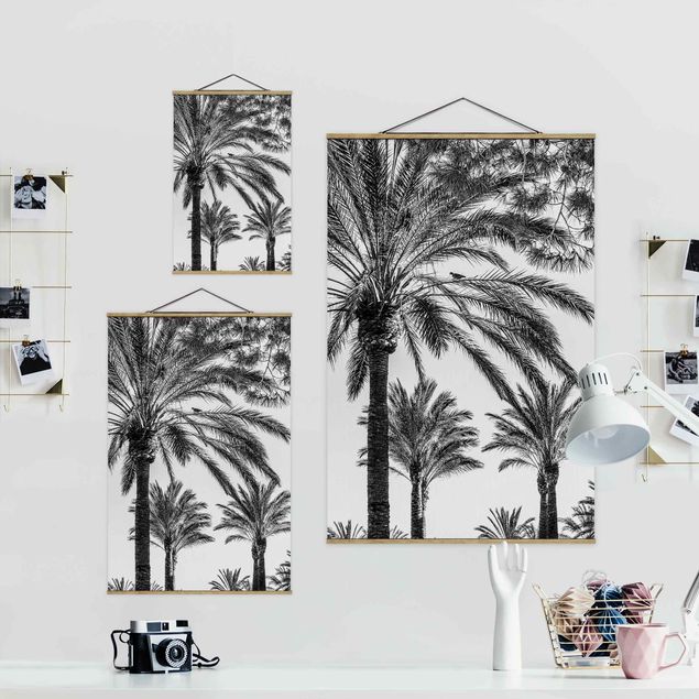 Cuadros modernos blanco y negro Palm Trees At Sunset Black And White