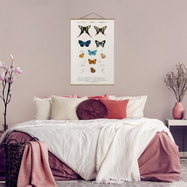 Cuadros de mariposas Vintage Board Butterflies I