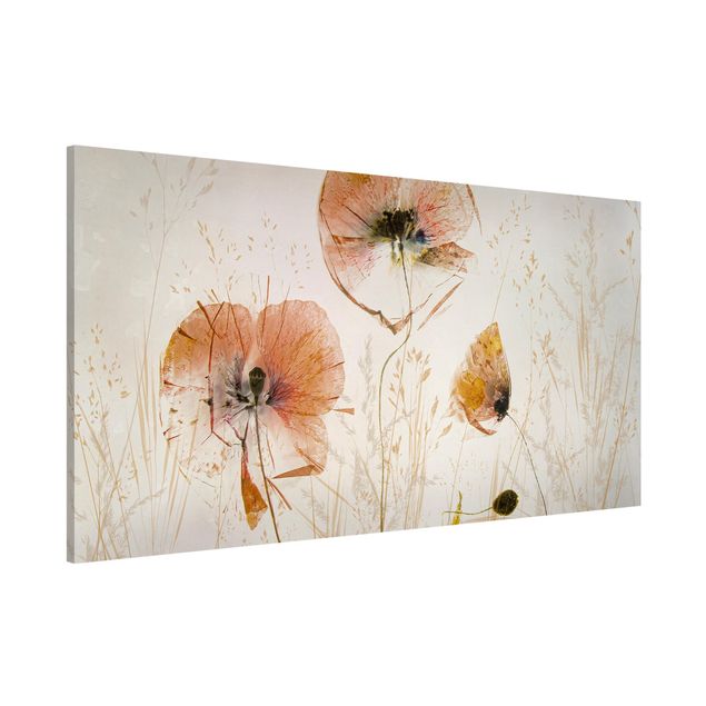 Cuadros amapolas Dried Poppy Flowers With Delicate Grasses