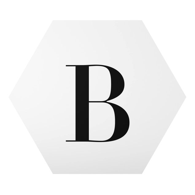 Cuadros modernos Letter Serif White B