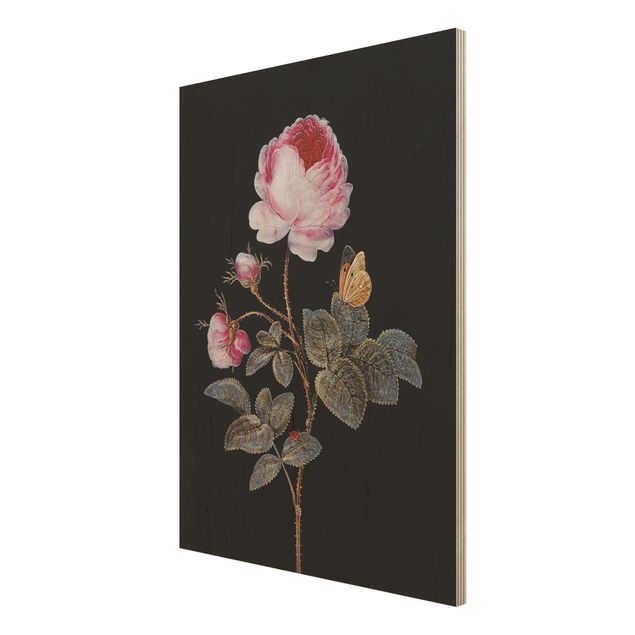 Estilos artísticos Barbara Regina Dietzsch - The Hundred-Petalled Rose