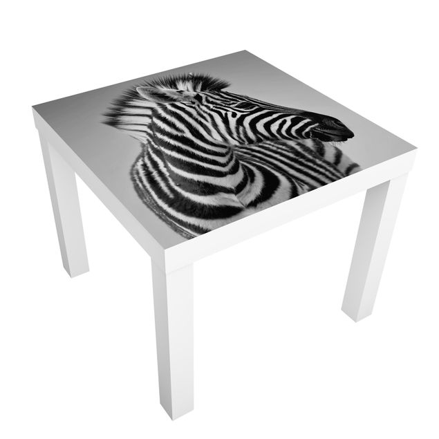 Láminas adhesivas en blanco y negro Zebra Baby Portrait II
