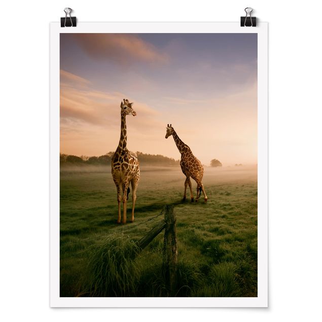 Cuadro con paisajes Surreal Giraffes