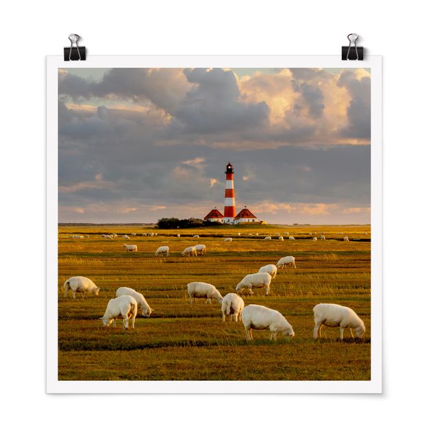 Cuadros playa North Sea Lighthouse With Flock Of Sheep
