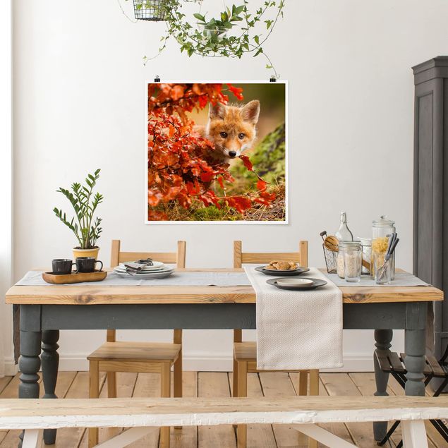 Decoración en la cocina Fox In Autumn