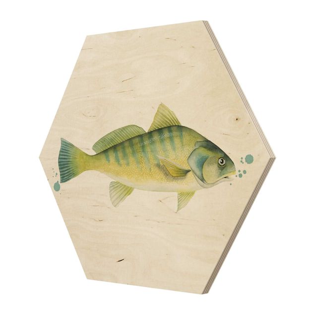 Hexagon Bild Holz - Farbfang - Flussbarsch