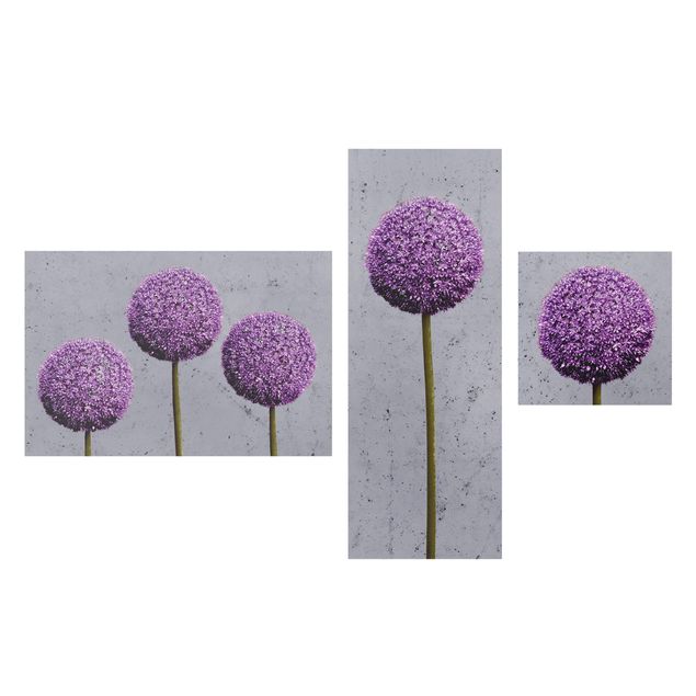 Cuadros de plantas Allium Round-Headed Flower
