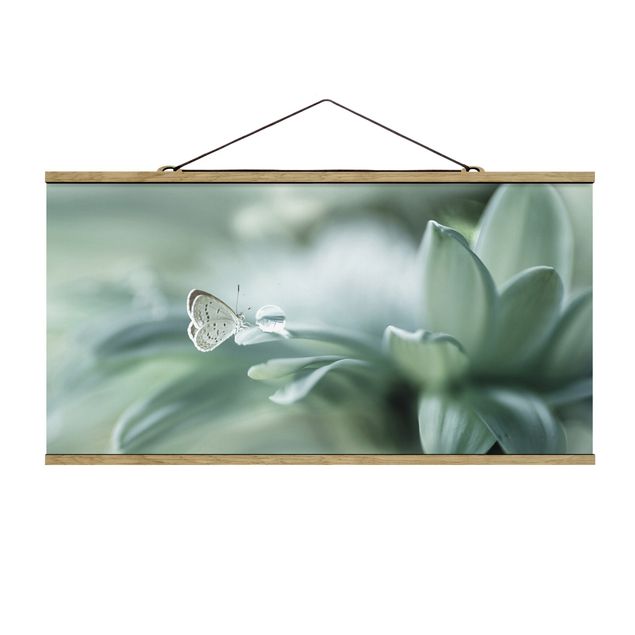 Cuadros flores Butterfly And Dew Drops In Pastel Green