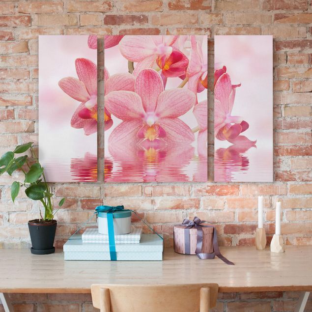 Lienzos de orquídeas Light Pink Orchid On Water