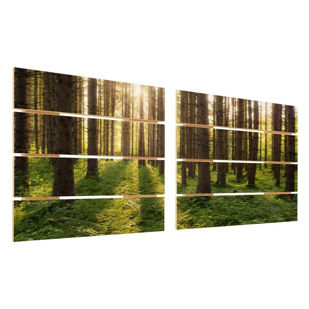 cuadros de madera decorativos Sun Rays In Green Forest