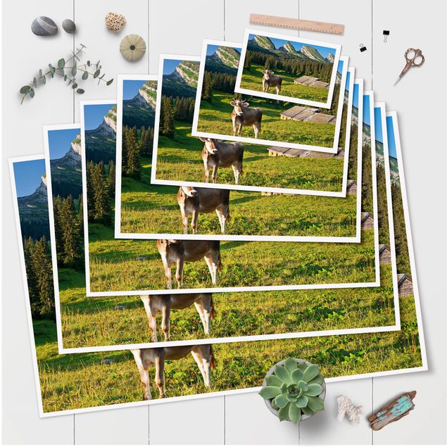 Cuadros naturaleza Swiss Alpine Meadow With Cow