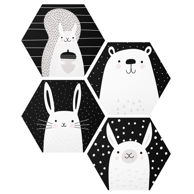 Cuadros infantiles animales Zoo - Squirrel Polar Hare IIama