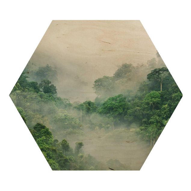 cuadros hexagonales Jungle In The Fog