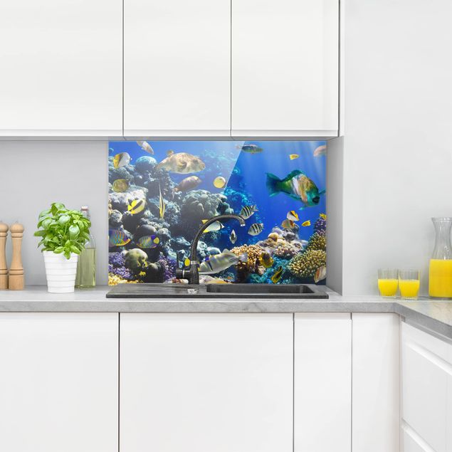 panel-antisalpicaduras-cocina Underwater Reef