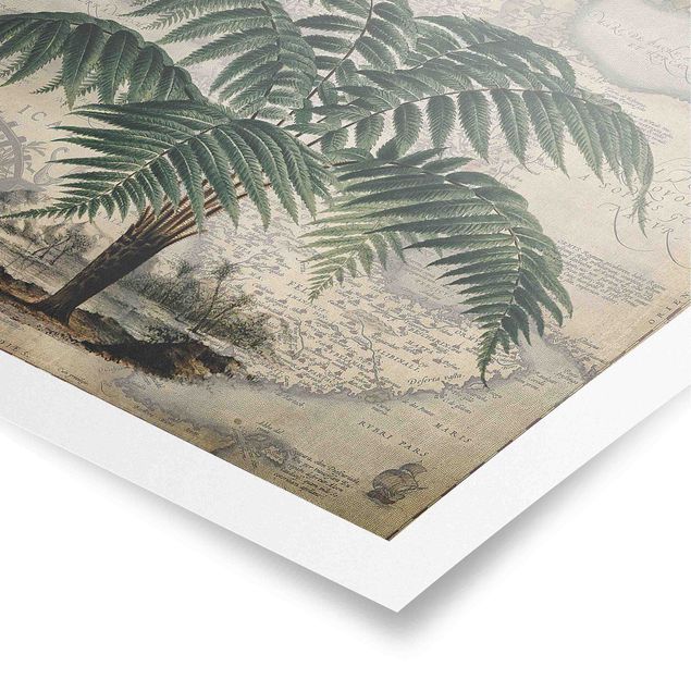 Cuadros de plantas Vintage Collage - Palm And World Map