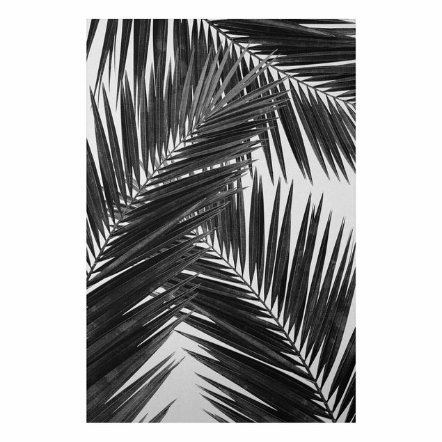 Cuadro con paisajes View Through Palm Leaves Black And White