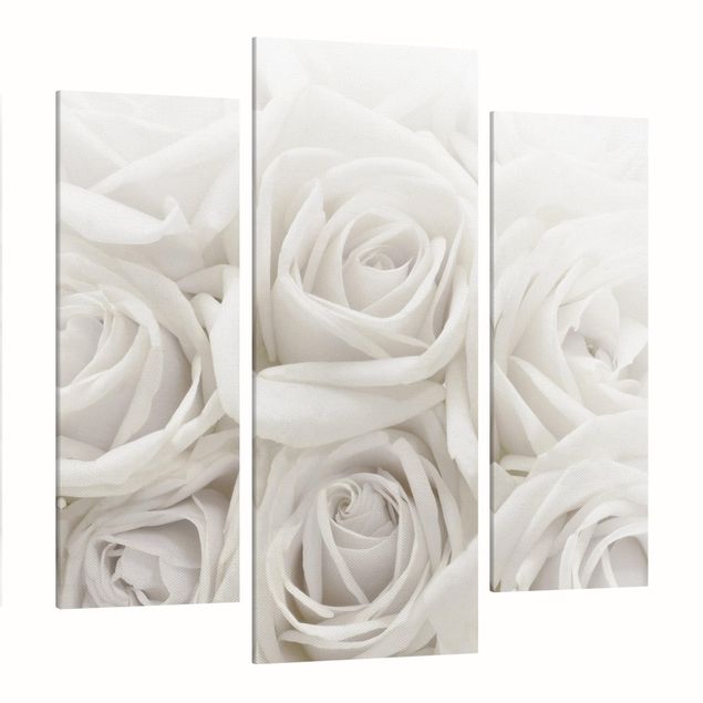 Cuadros plantas White Roses