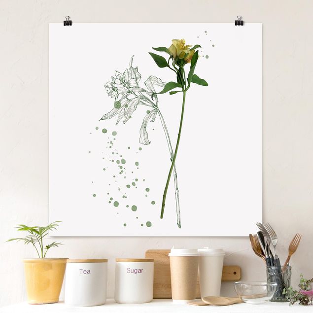 Láminas flores Botanical Watercolour - Lily