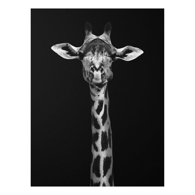 Cuadros jirafas Dark Giraffe Portrait