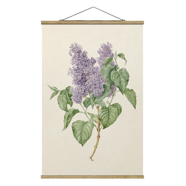 Cuadros de plantas naturales Maria Geertruyd Barber-Snabilie - Lilac