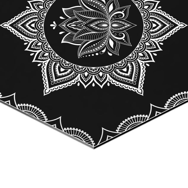 Cuadros modernos Lotus OM Illustration Set Black