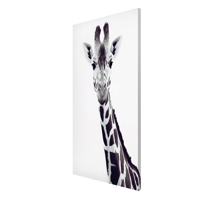 Tableros magnéticos animales Giraffe Portrait In Black And White