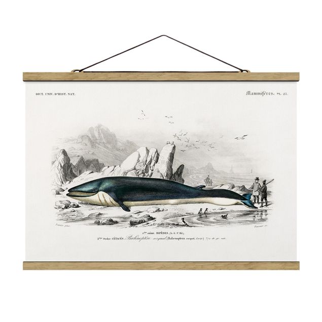 Cuadros infantiles animales Vintage Board Blue Whale