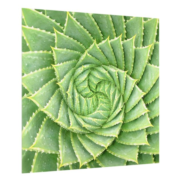 Panel antisalpicaduras cocina patrones Spiral Aloe
