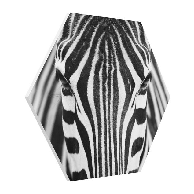 Cuadros africanos Zebra Look