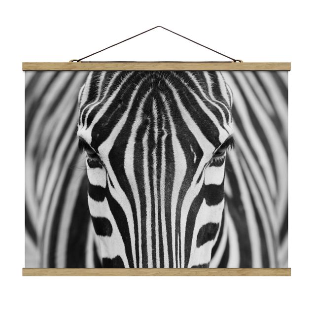 Cuadros de África Zebra Look