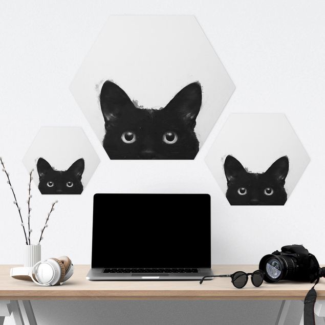 Cuadros decorativos Illustration Black Cat On White Painting