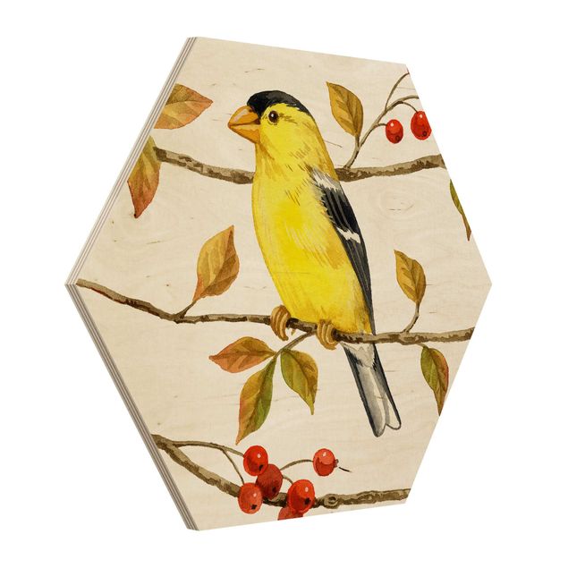 Cuadros hexagonales Birds And Berries - American Goldfinch