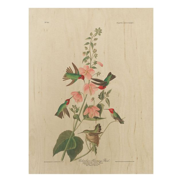 Cuadros de madera flores Vintage Board Colombian Hummingbird