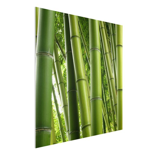 Decoración en la cocina Bamboo Trees No.1