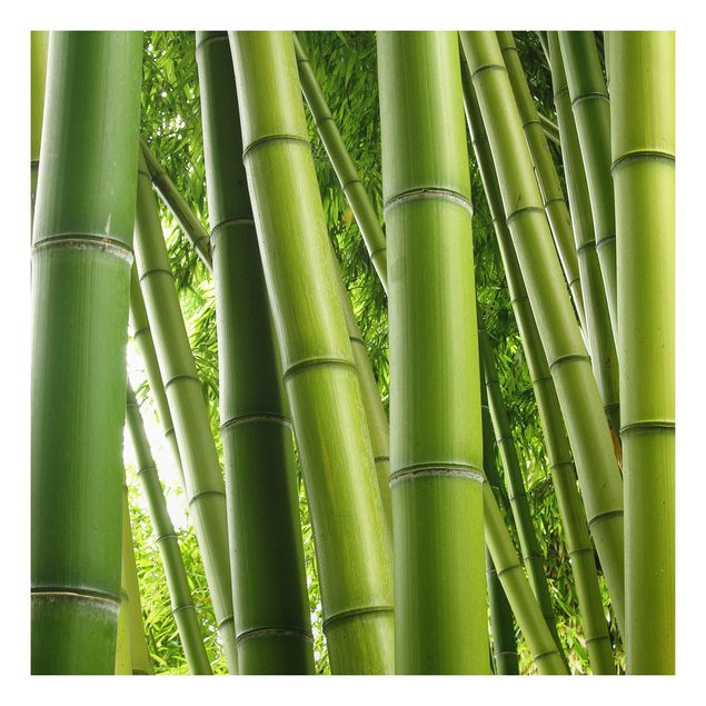 Cuadros de árboles para salón Bamboo Trees No.1