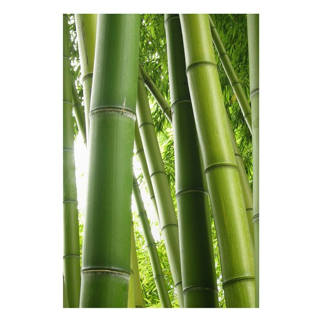 Cuadros de árboles para salón Bamboo Trees No.1