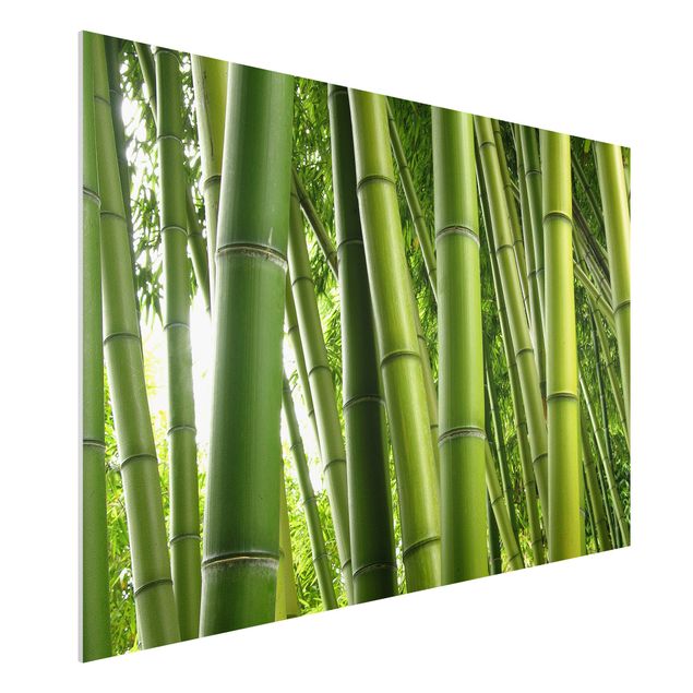 Decoración en la cocina Bamboo Trees No.1