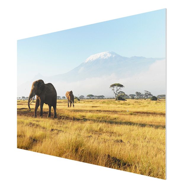 Cuadros de paisajes naturales  Elephants In Front Of The Kilimanjaro In Kenya