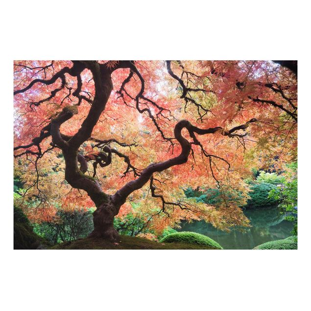 Cuadros árboles Japanese Garden