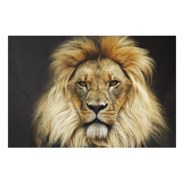 Cuadros leones Wisdom Of Lion