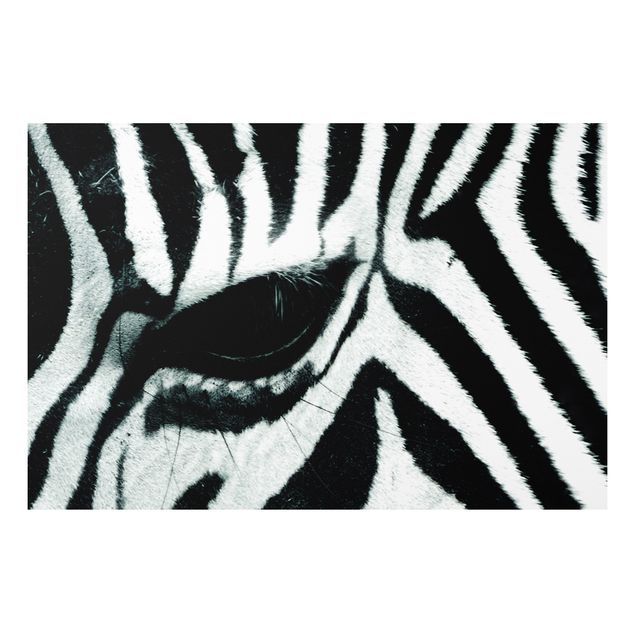 Cuadros cebras Zebra Crossing